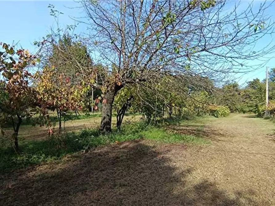 Immagine 14 di Villa in vendita  a Esperia