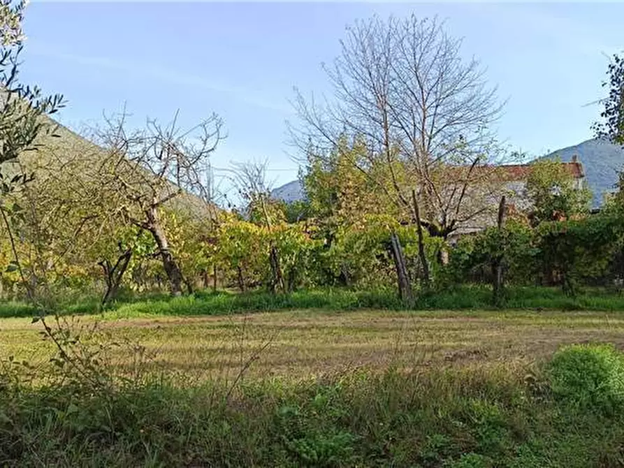 Immagine 15 di Villa in vendita  a Esperia