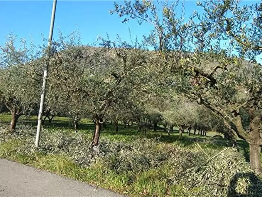 Immagine 4 di Rustico / casale in vendita  a San Giovanni Incarico