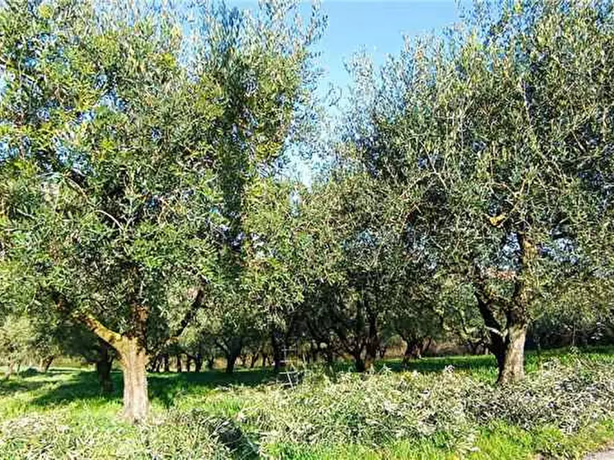 Immagine 5 di Rustico / casale in vendita  a San Giovanni Incarico