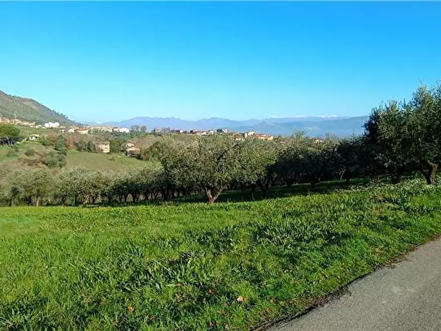 Immagine 6 di Rustico / casale in vendita  a San Giovanni Incarico