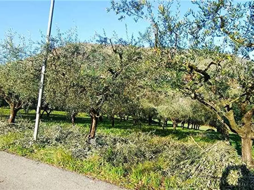 Immagine 7 di Rustico / casale in vendita  a San Giovanni Incarico