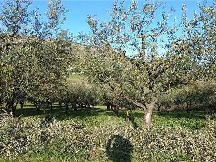Immagine 8 di Rustico / casale in vendita  a San Giovanni Incarico