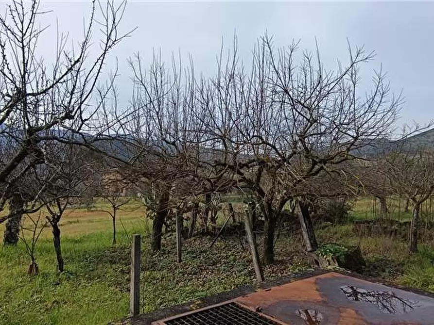 Immagine 13 di Rustico / casale in vendita  a Pico