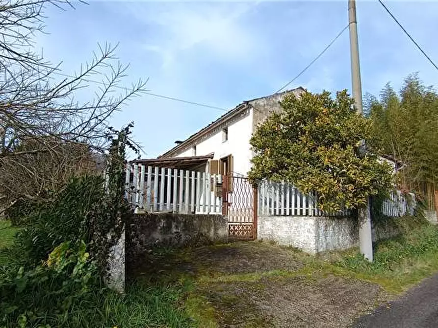 Immagine 2 di Rustico / casale in vendita  a Pico