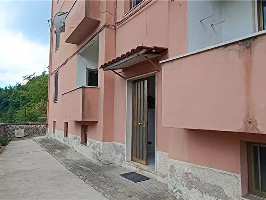 Immagine 3 di Appartamento in vendita  a Pontecorvo