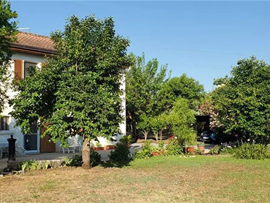 Immagine 3 di Villa in vendita  a Pontecorvo
