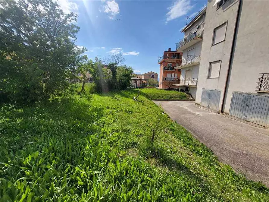 Immagine 4 di Appartamento in vendita  a Pontecorvo