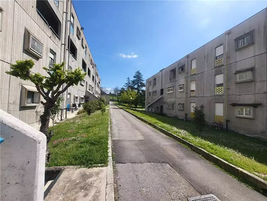Immagine 1 di Appartamento in vendita  a Pontecorvo