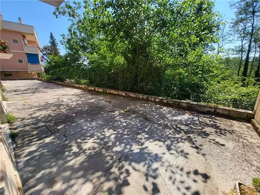 Immagine 7 di Appartamento in vendita  a Pontecorvo
