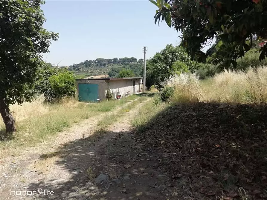 Immagine 1 di Terreno in vendita  a Grottaferrata