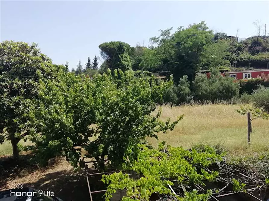 Immagine 3 di Terreno in vendita  a Grottaferrata