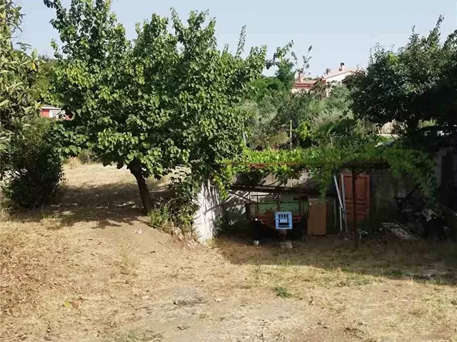 Immagine 4 di Terreno in vendita  a Grottaferrata