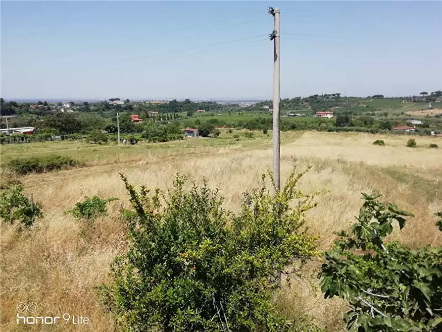 Immagine 1 di Terreno in vendita  a Grottaferrata