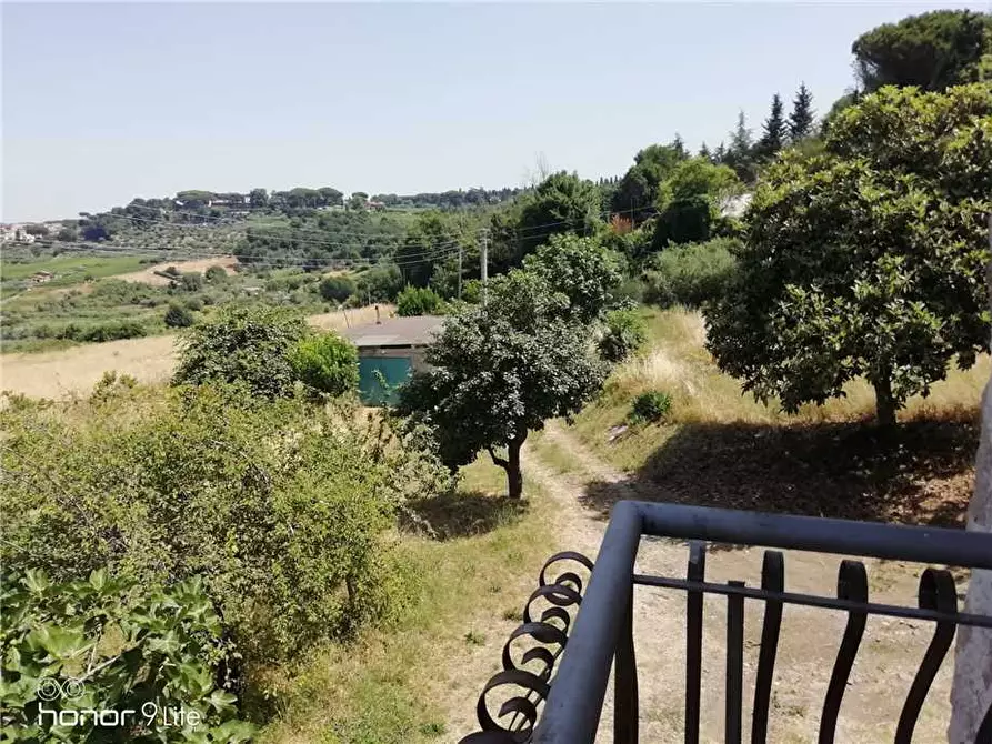 Immagine 2 di Terreno in vendita  a Grottaferrata