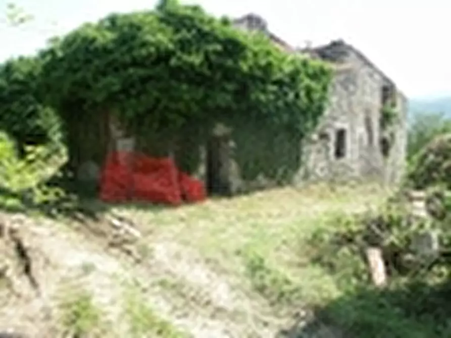 Immagine 5 di Rustico / casale in vendita  a Todi