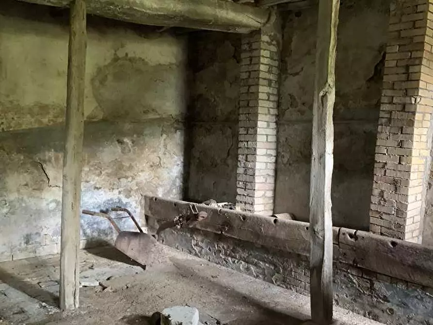 Immagine 2 di Rustico / casale in vendita  in Loc. Regnicolo a Gualdo Cattaneo