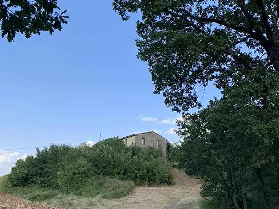 Immagine 3 di Rustico / casale in vendita  in Loc. Regnicolo a Gualdo Cattaneo