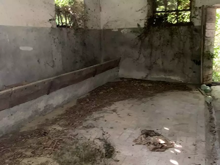 Immagine 5 di Rustico / casale in vendita  in Loc. Regnicolo a Gualdo Cattaneo