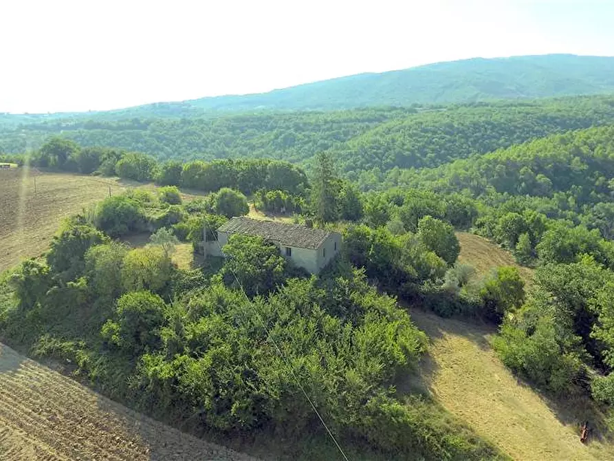 Immagine 6 di Rustico / casale in vendita  in Loc. Regnicolo a Gualdo Cattaneo