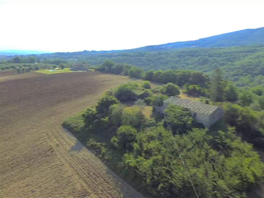 Immagine 7 di Rustico / casale in vendita  in Loc. Regnicolo a Gualdo Cattaneo