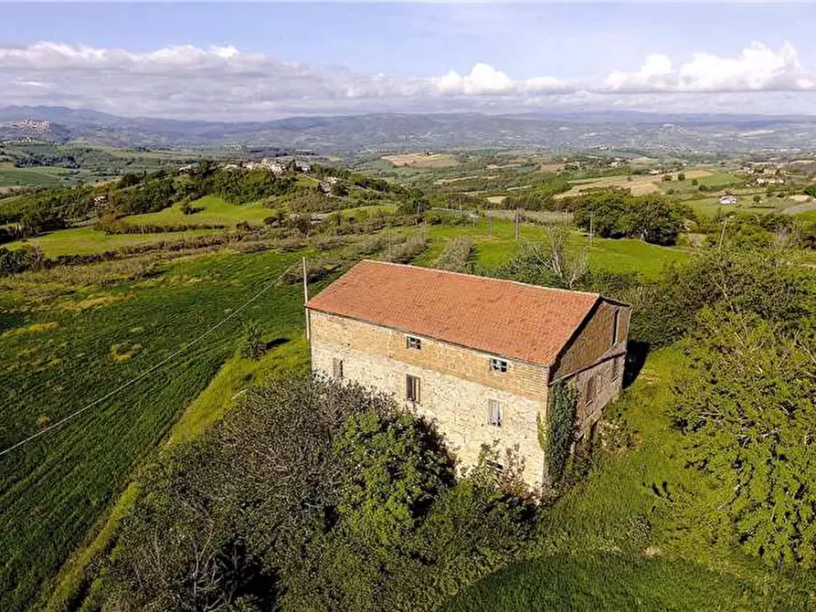 Immagine 1 di Azienda agricola in vendita  a Todi