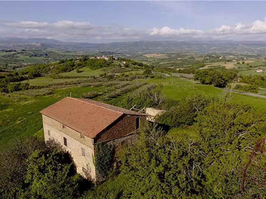 Immagine 2 di Azienda agricola in vendita  in Via Grutti a Todi