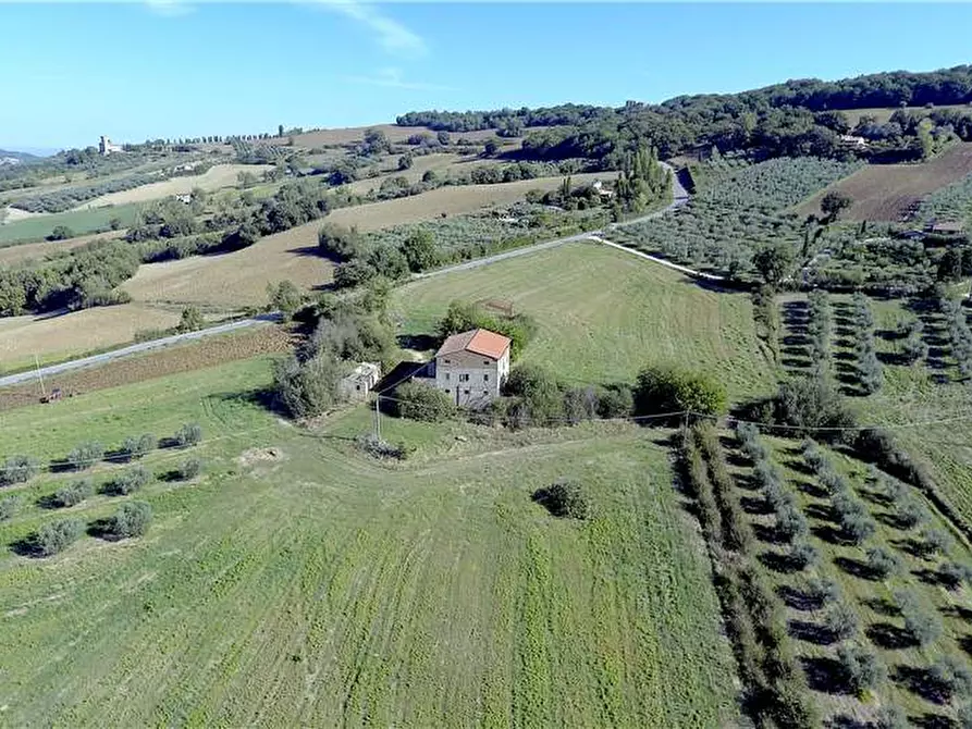 Immagine 3 di Azienda agricola in vendita  in Via Grutti a Todi