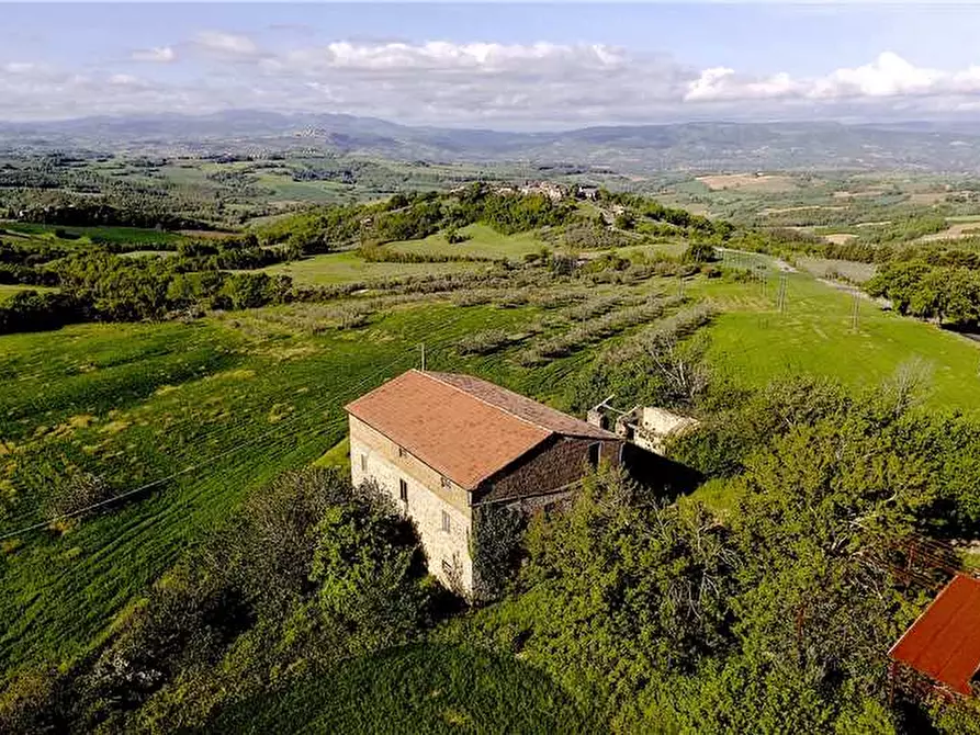 Immagine 4 di Azienda agricola in vendita  in Via Grutti a Todi