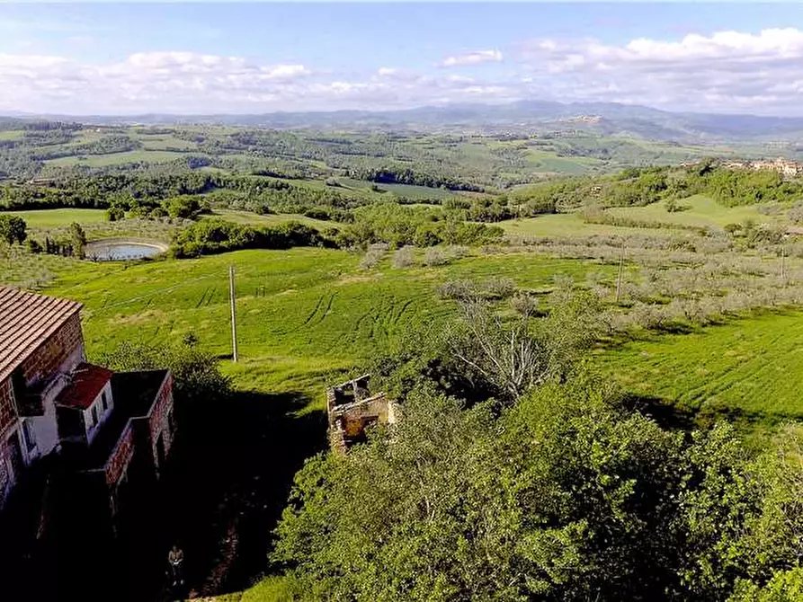 Immagine 5 di Azienda agricola in vendita  in Via Grutti a Todi