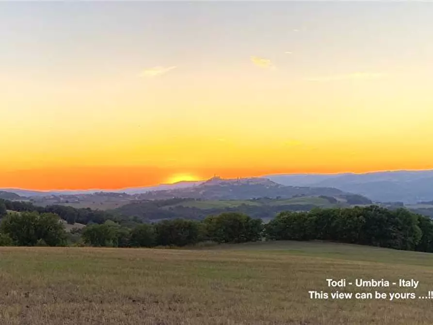 Immagine 5 di Rustico / casale in vendita  a Todi
