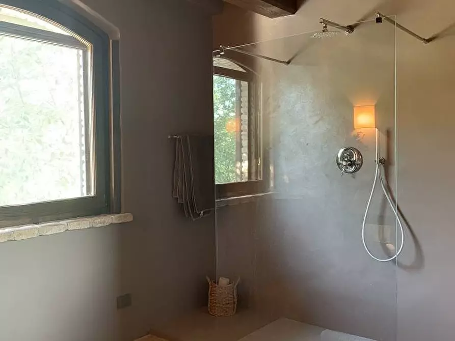 Immagine 20 di Casa vacanze in affitto  in Loc. Castelvecchio a Massa Martana
