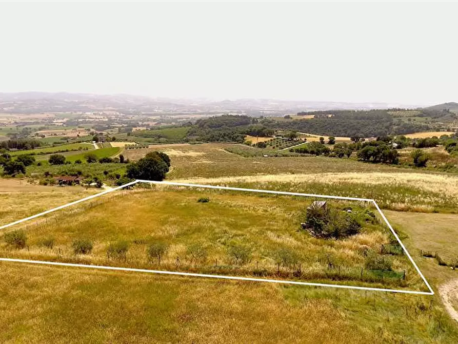 Immagine 3 di Terreno in vendita  a San Venanzo