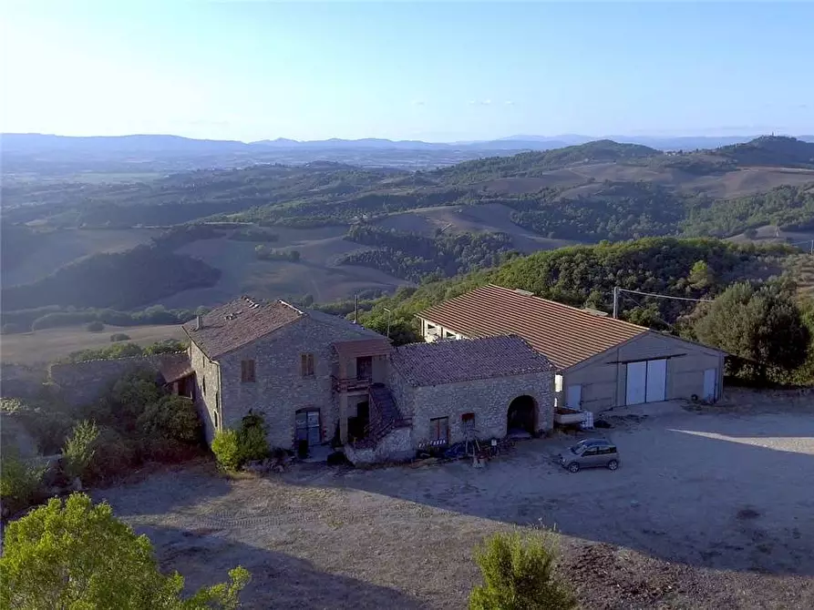 Immagine 2 di Azienda agricola in vendita  in Voc. Montenero a Gualdo Cattaneo