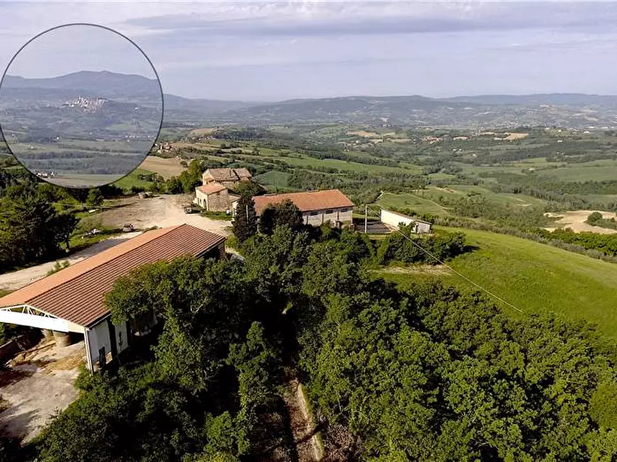 Immagine 3 di Azienda agricola in vendita  in Voc. Montenero a Gualdo Cattaneo