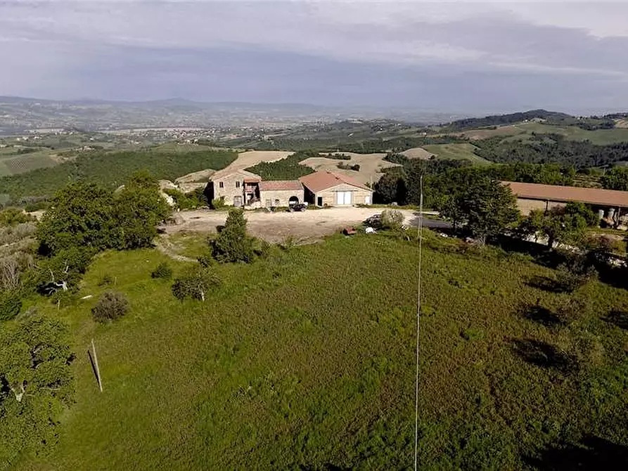 Immagine 4 di Azienda agricola in vendita  in Voc. Montenero a Gualdo Cattaneo