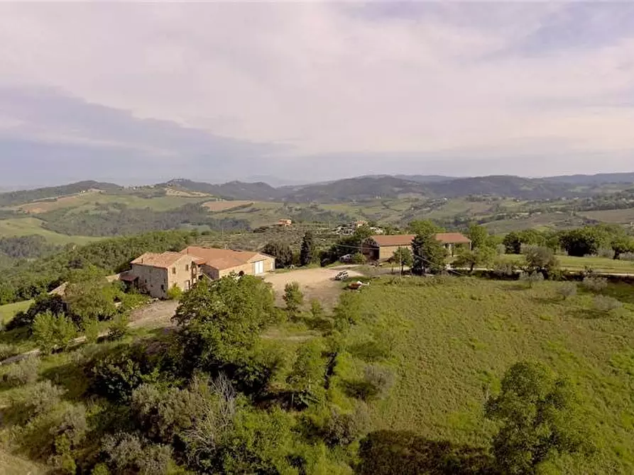 Immagine 5 di Azienda agricola in vendita  in Voc. Montenero a Gualdo Cattaneo