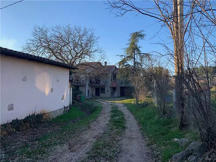 Immagine 3 di Casa bifamiliare in vendita  in Loc. Viepri a Massa Martana