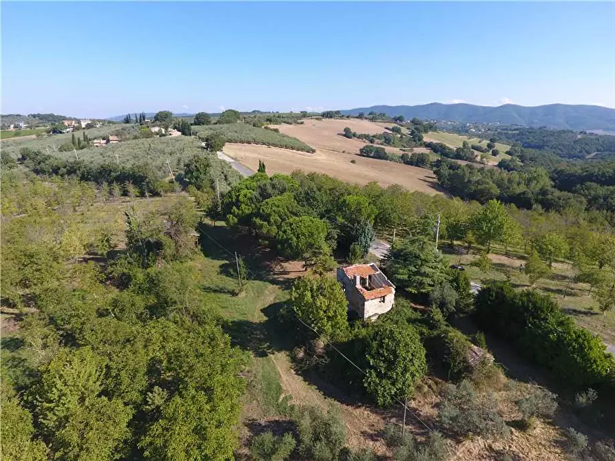 Immagine 3 di Rustico / casale in vendita  in Via Via della Collina a Gualdo Cattaneo