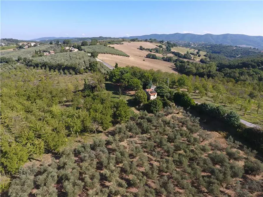 Immagine 4 di Rustico / casale in vendita  in Via Via della Collina a Gualdo Cattaneo