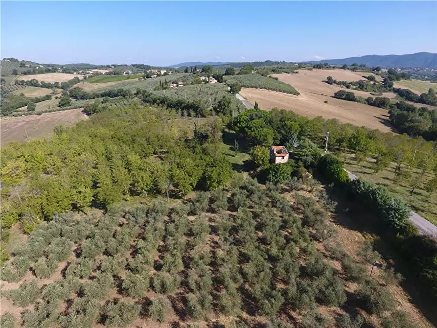 Immagine 5 di Rustico / casale in vendita  in Via Via della Collina a Gualdo Cattaneo