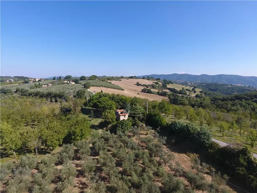 Immagine 6 di Rustico / casale in vendita  in Via Via della Collina a Gualdo Cattaneo