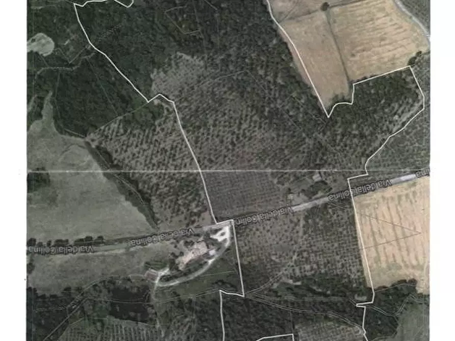 Immagine 7 di Rustico / casale in vendita  in Via Via della Collina a Gualdo Cattaneo