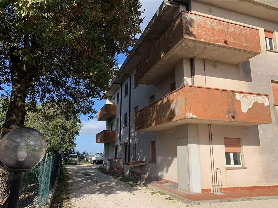 Immagine 19 di Appartamento in vendita  in Via Roma a Gualdo Cattaneo