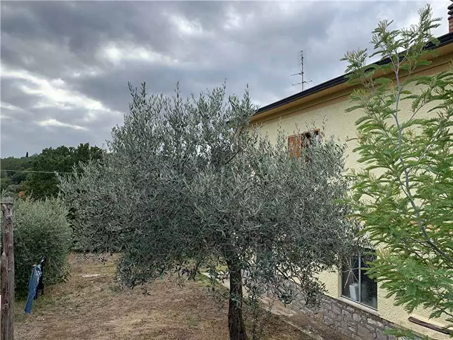 Immagine 19 di Villa in vendita  in Via Aschianghi, 5 a San Venanzo