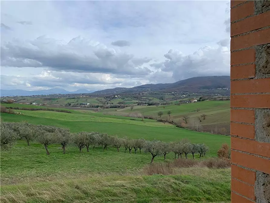 Immagine 12 di Villa in vendita  in Loc. villarode, sn a Gualdo Cattaneo