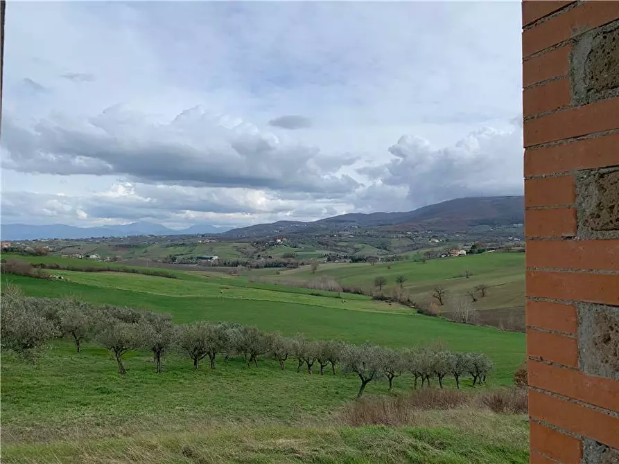 Immagine 13 di Villa in vendita  in Loc. villarode, sn a Gualdo Cattaneo