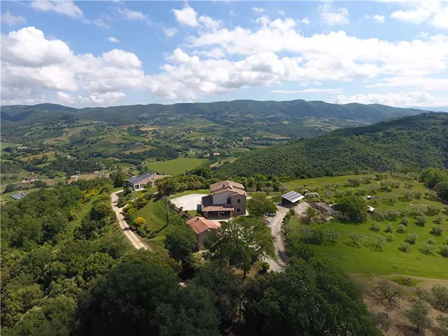 Immagine 4 di Villa in vendita  in Fraz. GAGLIETOLE a Collazzone