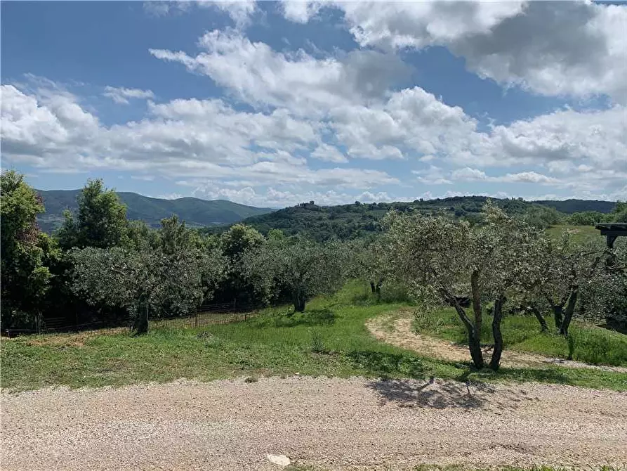 Immagine 9 di Villa in vendita  in Fraz. GAGLIETOLE a Collazzone