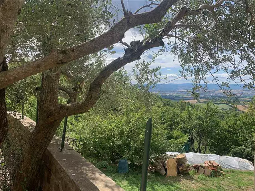 Immagine 10 di Villa in vendita  in Via STRADA DI SAN GIOVANNI, 68 a Collazzone